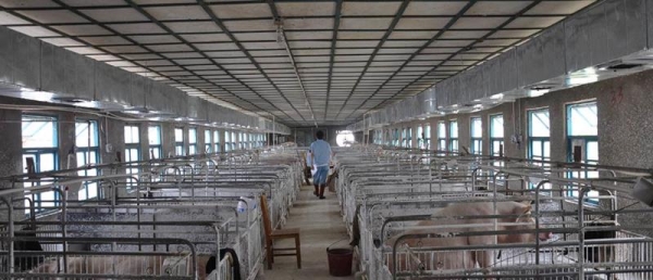 養殖場定點送風降溫